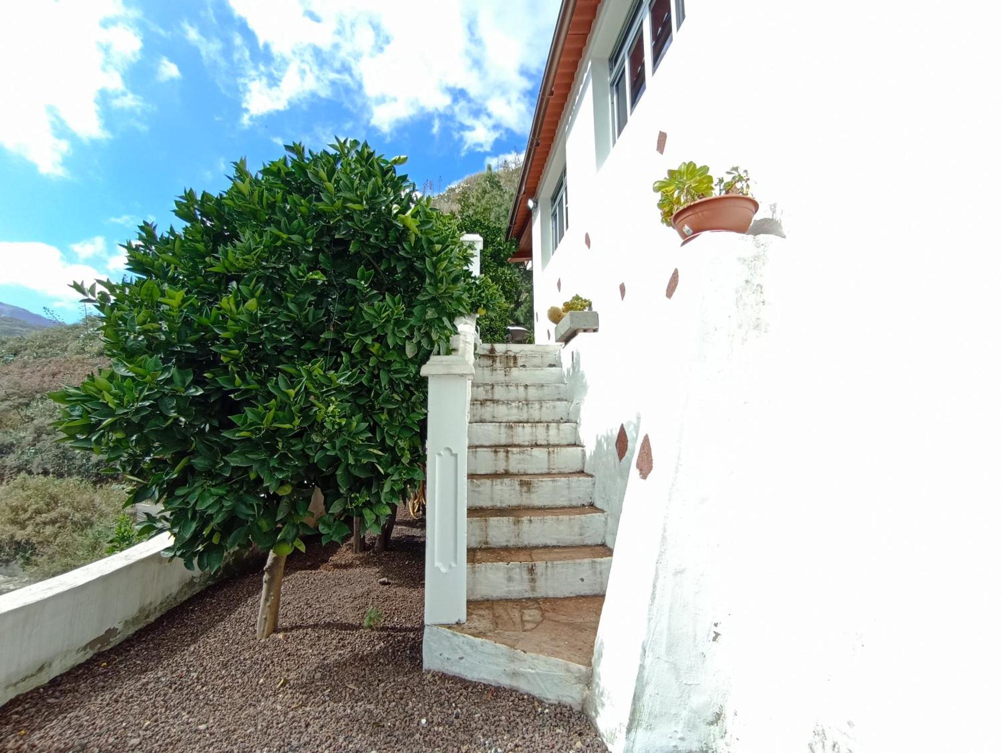 Casa Rural La Yedra San Mateo Arbejales Exterior photo